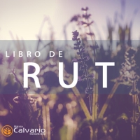 Rut