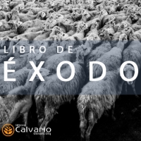 Éxodo 